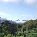 하동산수애 네이버블로그