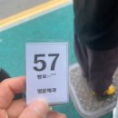 명문 | [남원 빵집] 풍자 또간집 1등 명문제과, 내돈내산 솔직후기