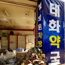 해민약국 Daum카페