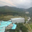 스테프핫도그워터월드 | 하이원 풀패키지 컨벤션타워 호텔 트윈룸 아이랑 다녀온 찐후기 조식 및 식당 워터월드 후기