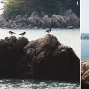 바위공원 화장실 이미지