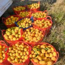 준이네농장 이미지