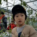 강호농장 이미지