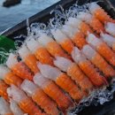 88냉동수산 | 서귀포회포장 올레시장맛집 88종합수산 딱새우회포장