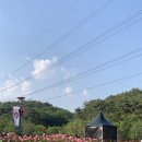장미휴게점