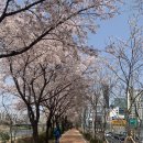 메트로팰리스1 에이동 이미지