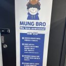멍브로 이미지