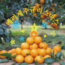 제주귤랑