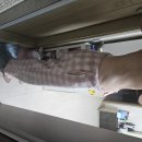 닥터크리미의원 이미지