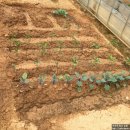 남희농장 이미지