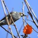 청연마을회관 이미지