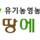 땅에미소캠핑장 이미지