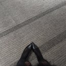 신의한큐 이미지