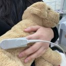 시그너스이치과의원 | 광주 상무지구 더블엠 구강악안면외과 치과의원에서 매복사랑니발치 후기(위치, 주차, 예약)