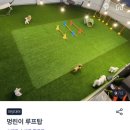 멍린이회관 네이버블로그