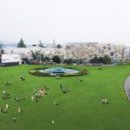 금남로 공원 이미지