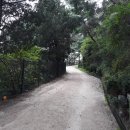 홍릉초교 이미지