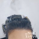 포도젤리 펫살롱 | 안산중앙동미용실 무무살롱 안산점에서 레이어드컷&amp;레이어트펌 시술후기