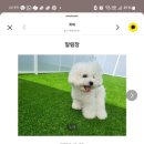 우쭈쭈플렉스수원