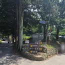 공주 유구 색동수국정원 & 마곡사 주말 방문 후기