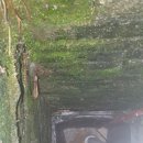 선수촌로 이미지