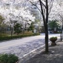 능청경로당 Daum카페