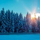 경희올한의원 이미지