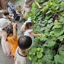 꿈꾸는 종이놀이터 이미지