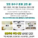 벧엘상사 이미지