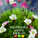 강북로 이미지