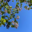(주)성지 | [사주후기] 광화문·서촌 사주 성지 ‘연사주’, 재방문이 증명한 소름 돋는 적중률!