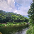 스테이외송 이미지