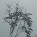 재경3호 이미지