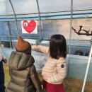 건영승마장 이미지