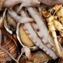 해신식당 이미지