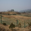 옥천농장 이미지