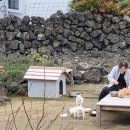 제주오름동물병원 이미지