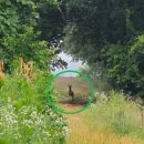 김현수 태양광발전소 이미지