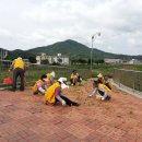 벌교게이트볼장 이미지