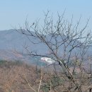 발랑3리 이미지