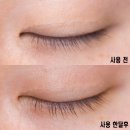 비비드아이래쉬 | 속눈썹영양제 앤시 비비드 앰플 한달사용후기!