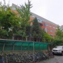 벼룩프라자