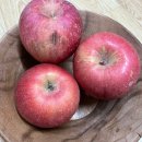 좋은아침약국 | 아침엔과일 청송 고당도 흠과 부사사과 후기