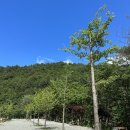 법수치오토캠핑장 이미지