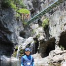 진례초등학교 이미지