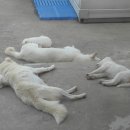 장척농장 이미지