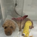 메이 동물병원 이미지