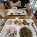 국립청도숲체원 후기 | 침엽수동 211호 | 식사, 숲해설 프로그램 참여