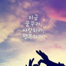 빛과 소금 이미지