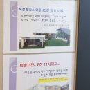 에버오렌지펜션 | 아이와 오기 좋은 에버랜드 인근 펜션/에버오렌지펜션/에버랜드 숙소 추천(내돈내산 후기)